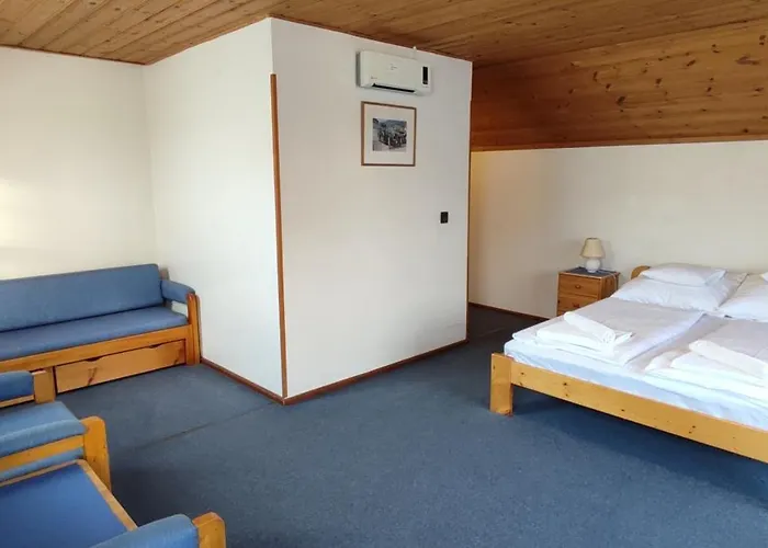 Pensjonat Adler Panzio 3*